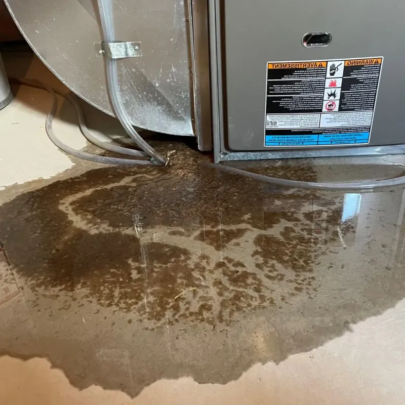 Pipe Burst and Leak Restoration in Oxford, ME